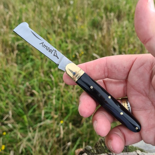 Hippe coltello oculare