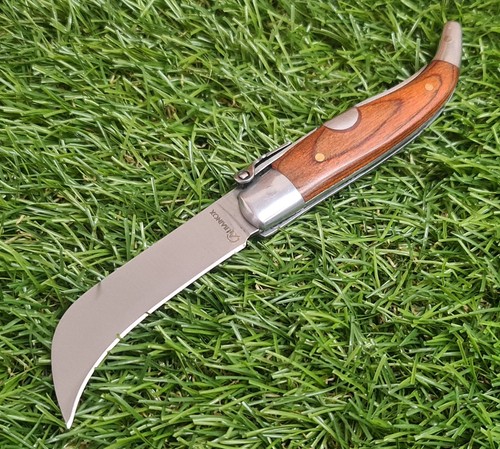 Coltello albainox teja - coltello,